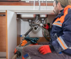 About Plumbers Pros Langston, AL